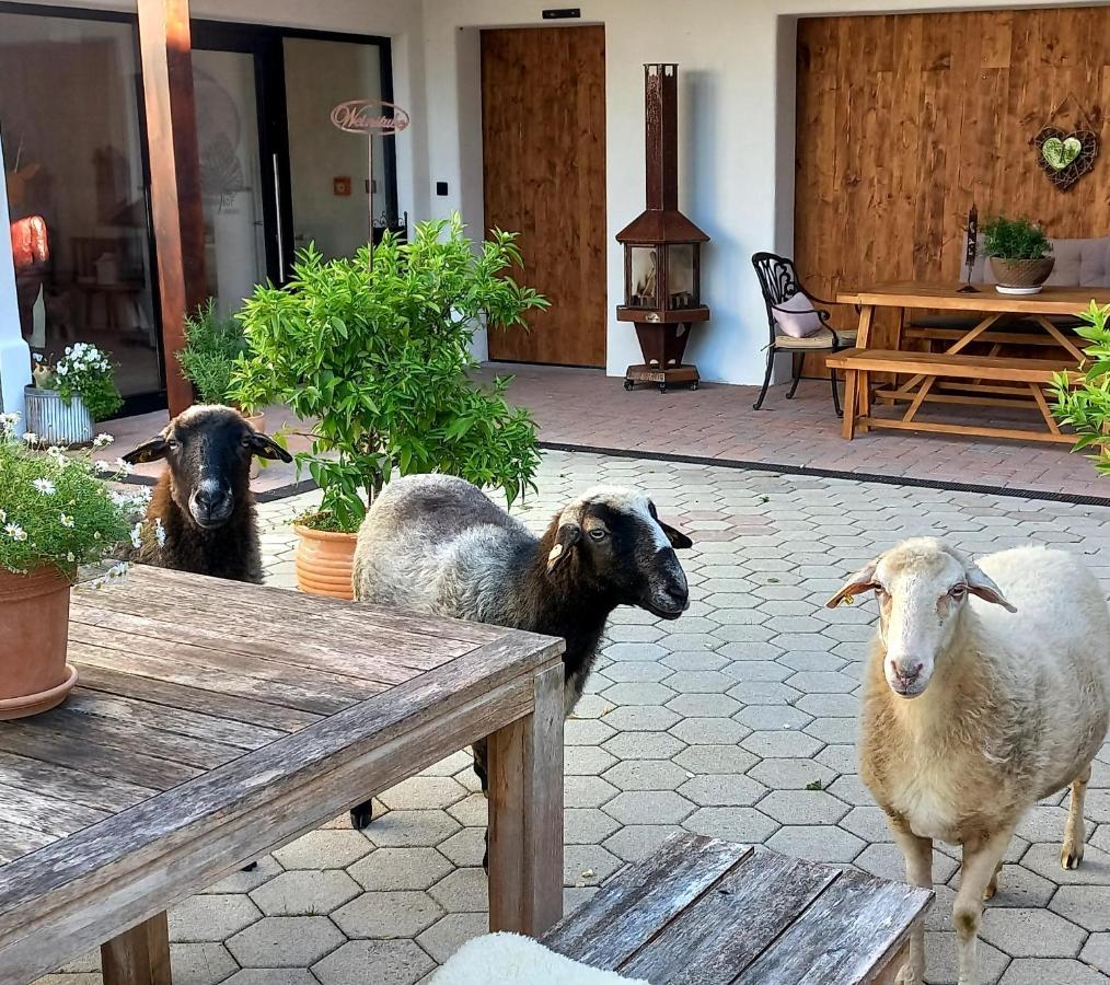 Roiderhof Irrsee Oberhofen am Irrsee Eksteriør billede