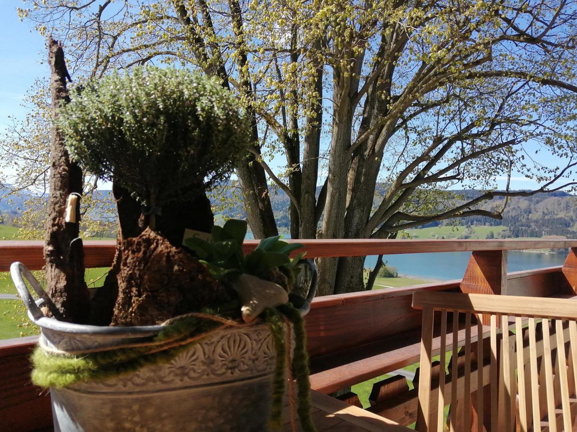 Roiderhof Irrsee Oberhofen am Irrsee Eksteriør billede
