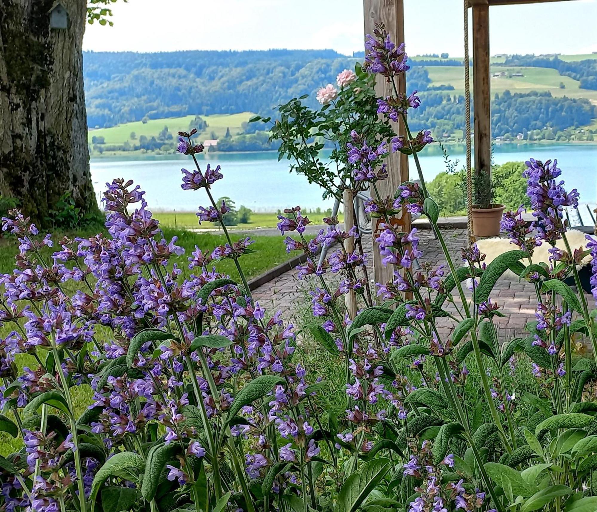 Roiderhof Irrsee Oberhofen am Irrsee Eksteriør billede